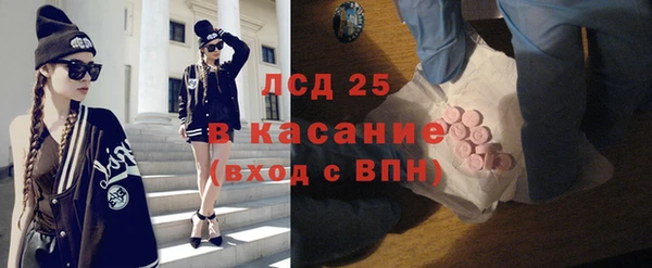 крисы Бородино
