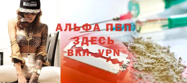 крисы Бородино