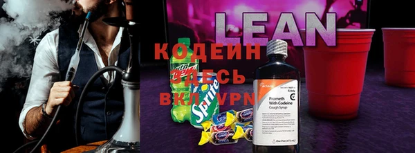 крисы Бородино