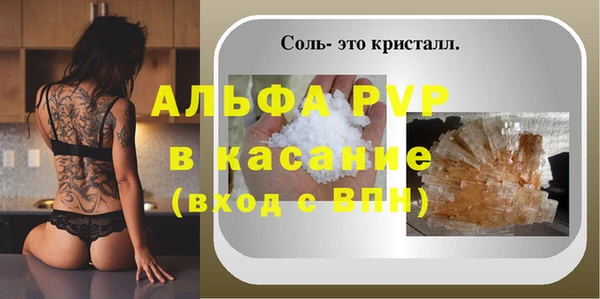 крисы Бородино