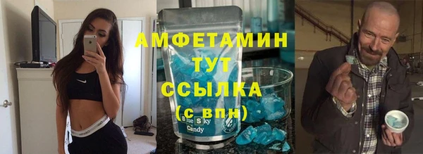 крисы Бородино