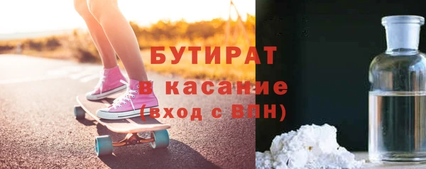 крисы Бородино