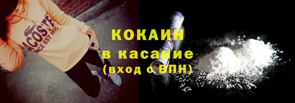 крисы Бородино