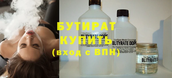 крисы Бородино