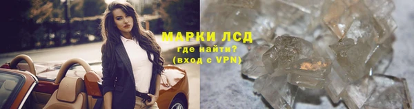 крисы Бородино