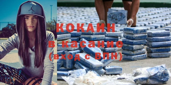 крисы Бородино