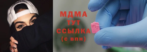 крисы Бородино