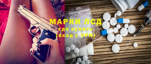 крисы Бородино