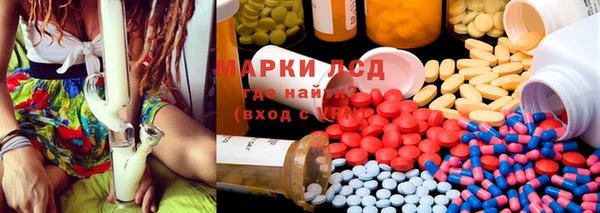 крисы Бородино