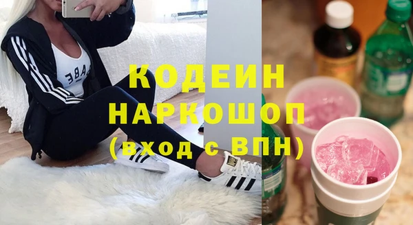 крисы Бородино